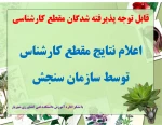 نتایج کارشناسی