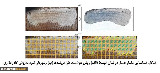 توسعة سامانة هوشمند تشخیص الگوی کلنی های زنبور عسل بر پایة روش پردازش تصویر 4