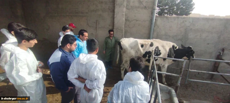 برگزاری دوره تلقیح مصنوعی در قالب آموزش های آزاد آموزشکده فنی کشاورزی شهریار  2