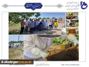 برگزاری دوره ی آموزشی پرورش زنبور عسل  7