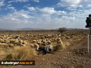 بازدید از کشت و  صنعت فدک توسط اساتید  آموزشکده ملی مهارت شهریار 3