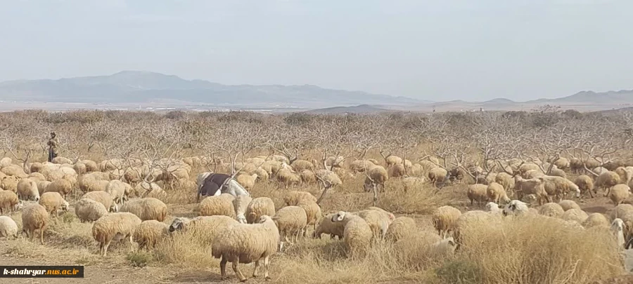 بازدید از کشت و  صنعت فدک توسط اساتید  آموزشکده ملی مهارت شهریار 5